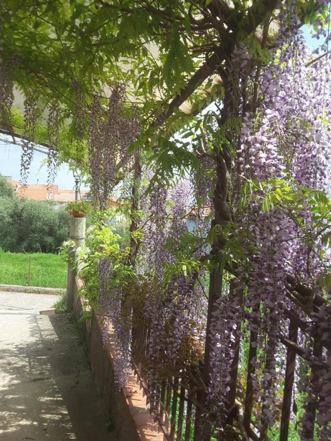 مبيت وإفطار Abatemarco Mansarda Fiorita المظهر الخارجي الصورة
